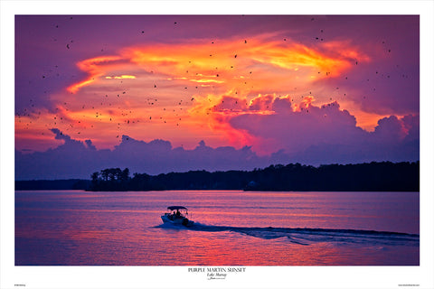 Lake Murray Purple Martin Sunset by Bill Barley