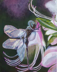 "Dragonfly II" by Tyla Bowers