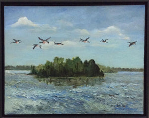 "Wings over Lake Murray" by Faye Meetze