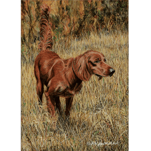 Red Setter by Robert Hickman