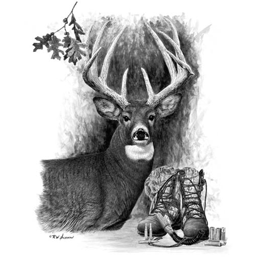 Whitetail Dreams by Robert Hickman