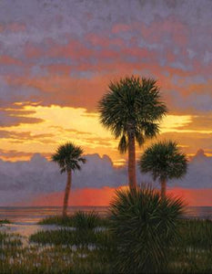 Silhouetted Palms by Michael Story